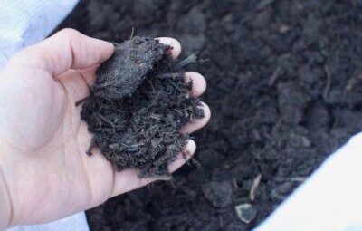 Indigo Compost method  “SUKUMO”  and  “CUCCAGNA”